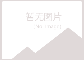 天津夏青能源有限公司